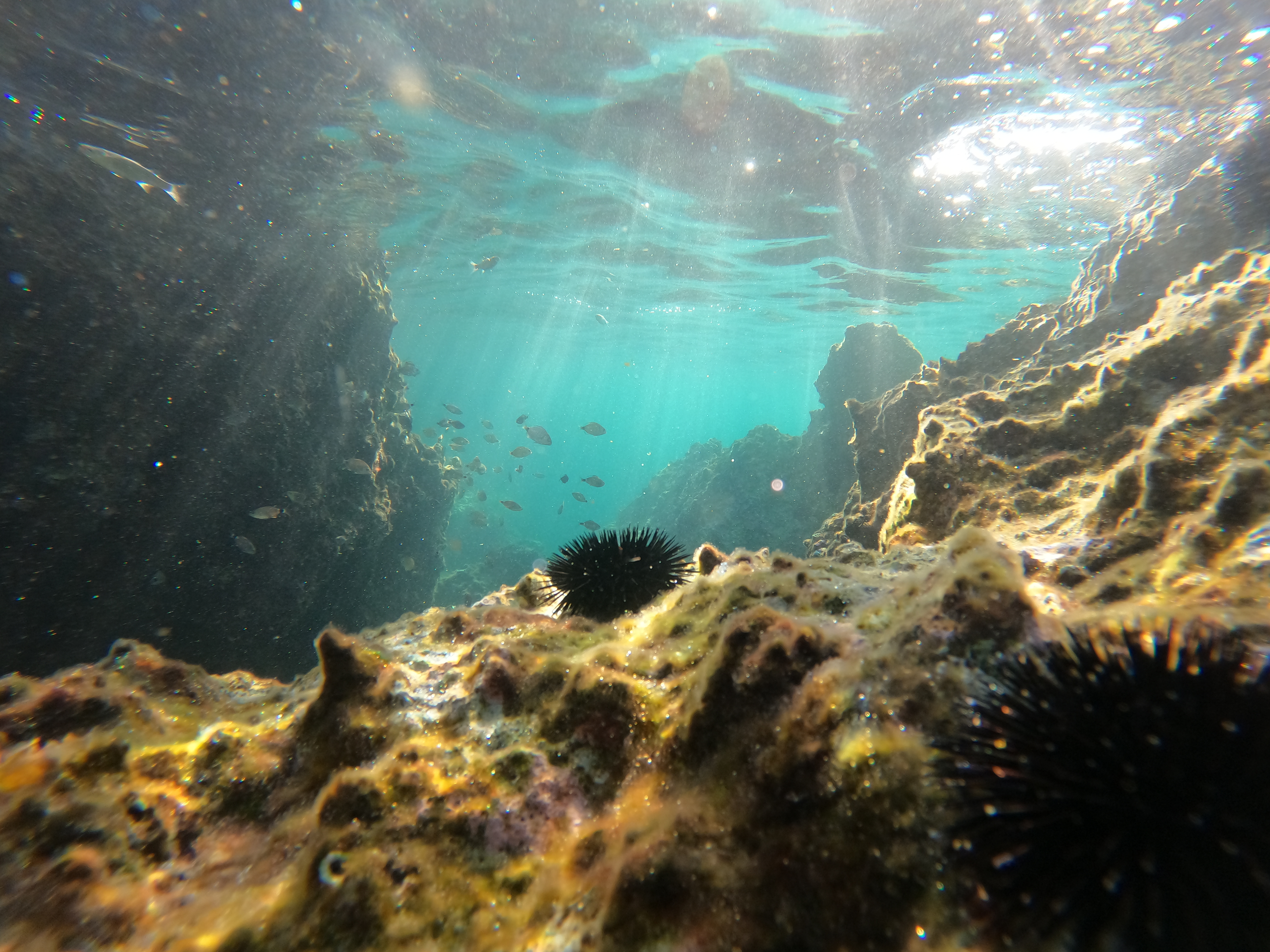 DCIM100GOPROGOPR0291.JPG